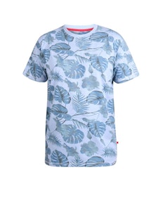 D555 Seymour Printed T-Shirt Blue Marl