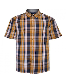 Espionage Short Sleeve Check Shirt Navy/Mustard