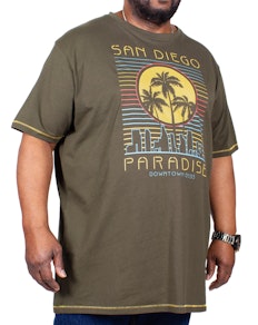 D555 Stanley San Diego Paradise Printed T-Shirt Khaki