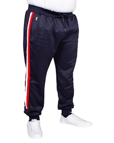 D555 Minnesota Taped Jogger Navy