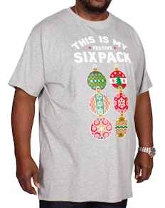 D555 Dasher Christmas Printed T-Shirt Grey