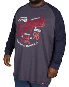 D555 Neill Printed Raglan T-Shirt Denim