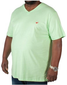 Bigdude Signature V-Neck T-Shirt Green