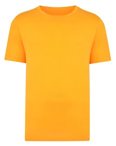 Bigdude Plain Crew Neck T-Shirt Orange Tall