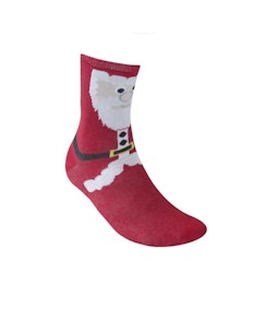 D555 Carols Christmas Socks - Santa