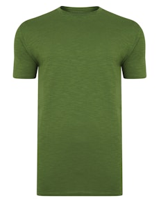 Bigdude Vintage Marl Slub T-Shirt Desert Cactus Tall